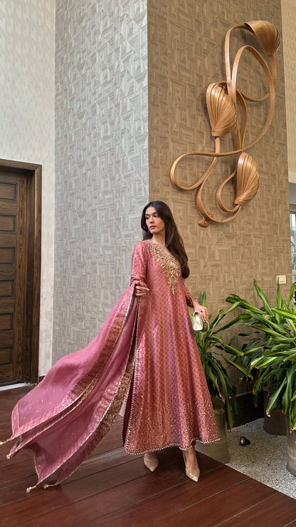 Abeera (kallidaar set)